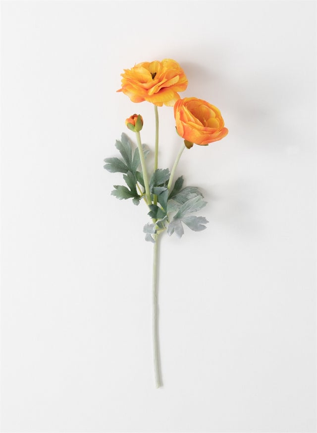 CLEARANCE | Nesting Goods